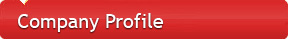 Company Profile Company Profile